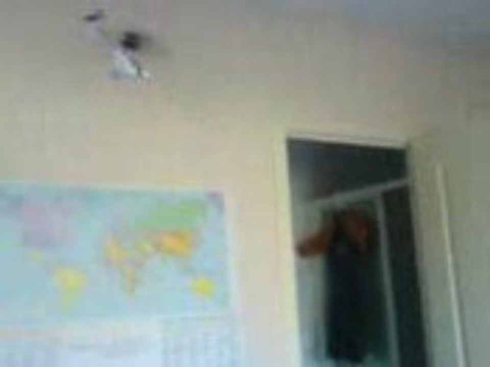 video rascafr picooz.fr