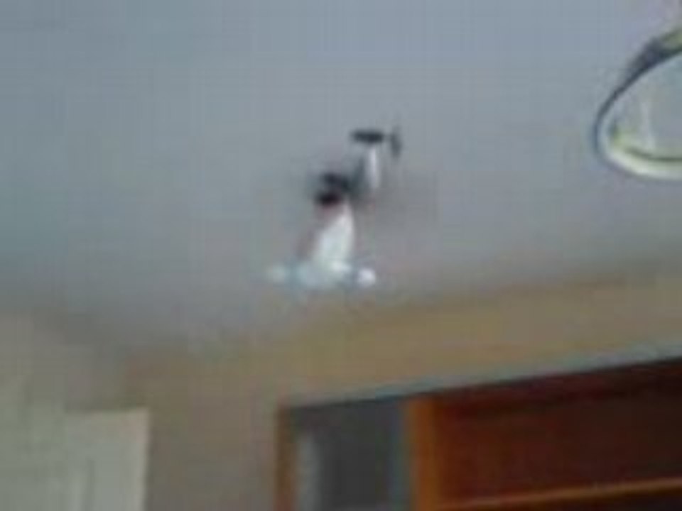 video2 rascafr picooz.fr