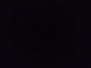 kevin et bob à bobital