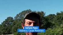 Wilki we Włoszech: rosnąca populacja dzikich drapieżników rodzi obawy