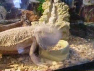 Photo 091