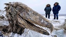 100 découvertes incroyables dans le pergélisol qui ont stupéfié le monde