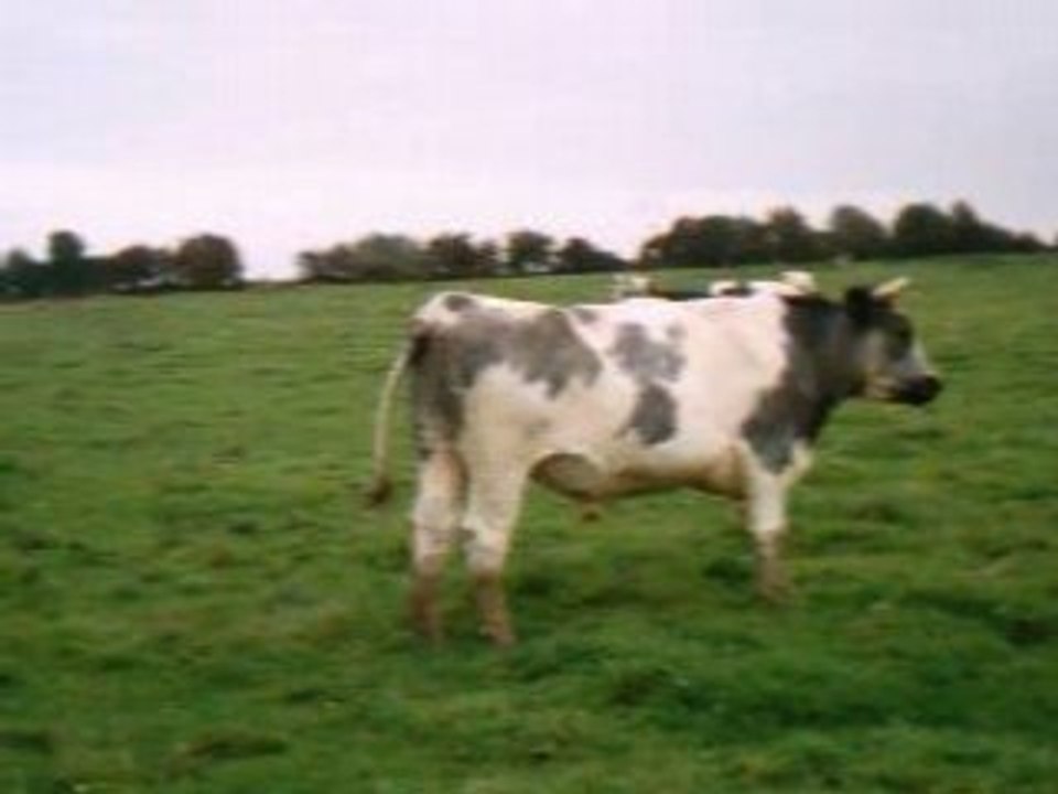 RACING CLUB MAUBEUGE FOOTBALL 59 PROVINCES BUT FOOT NORD