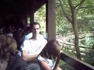 CLIP0001