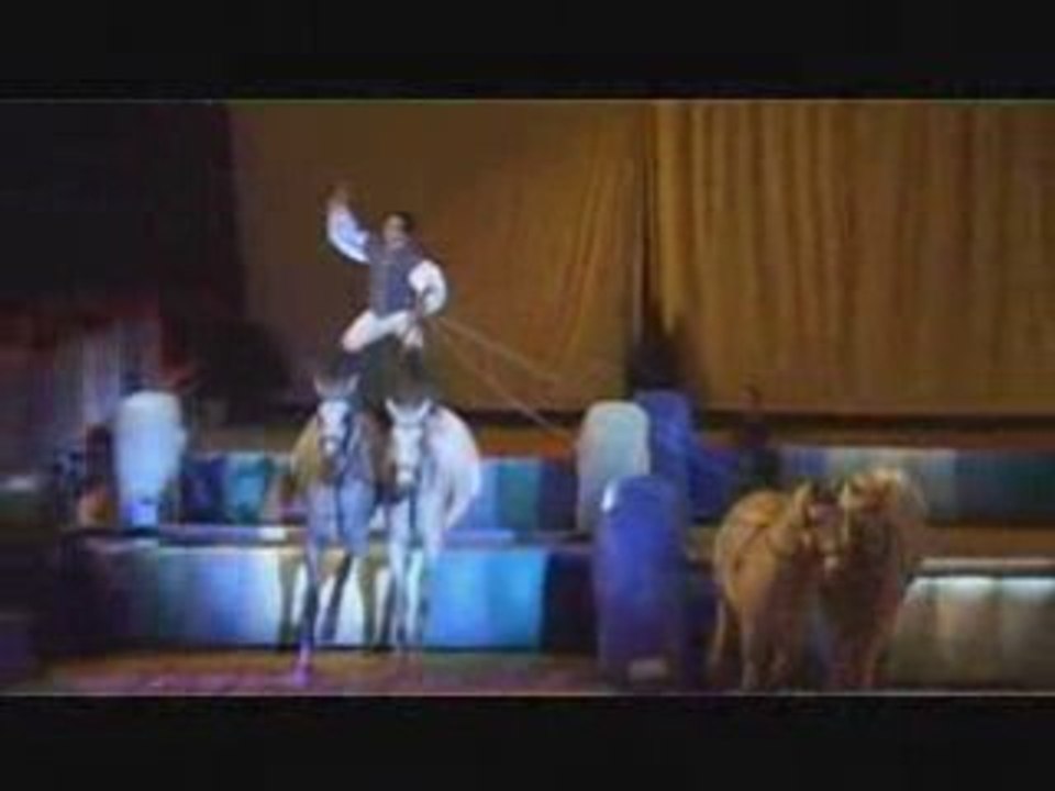 Lorenzo et ses chevaux