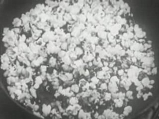 Old Educational Video about Puritanism and Puritan Life