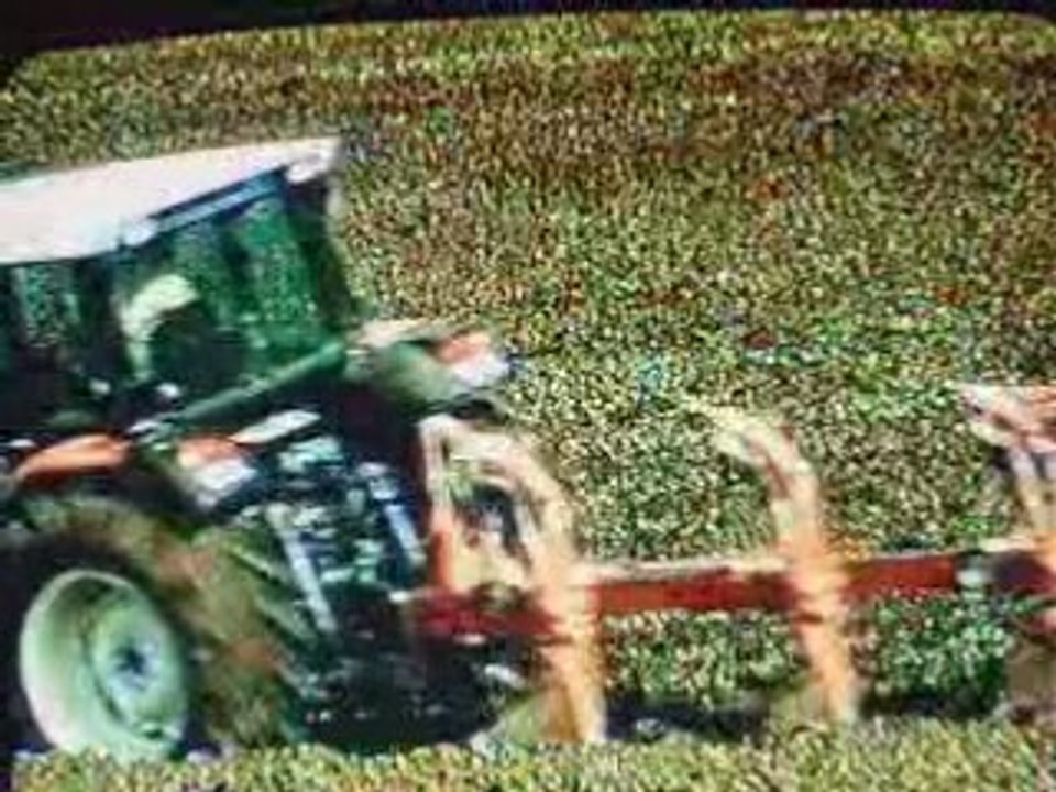 Voici la présentation de gamme des tracteurs SAME Silver