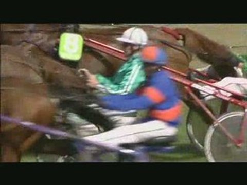 Cheval / Cheval n°2