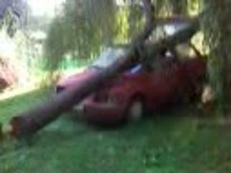 Vidéo 0013