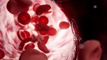 O Segredo Macabro por Trás do Sangue dos Atletas de 1980...
