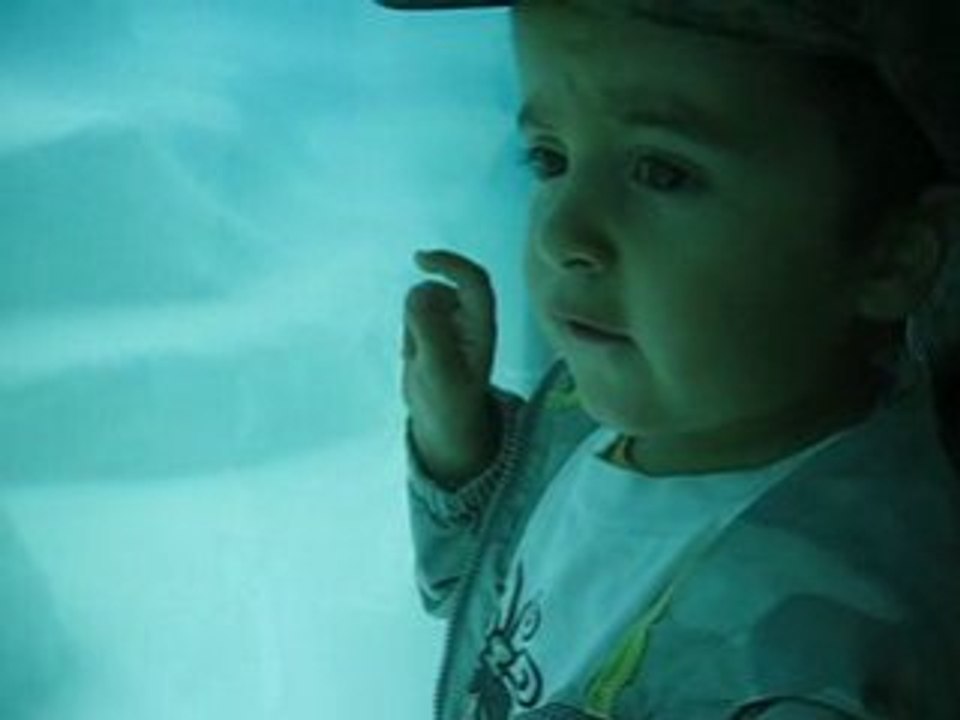 Rendez vous avec les poissons