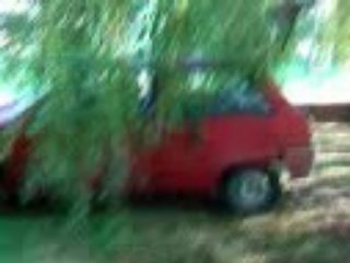 Charly é les souche