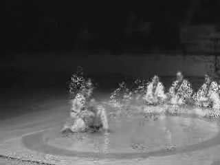 Grand Master LEE CHANG SOO demo