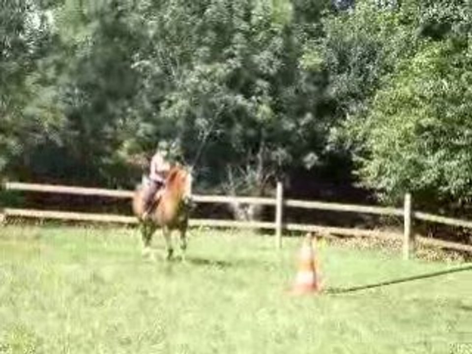 Vidéo sauts d'isidore