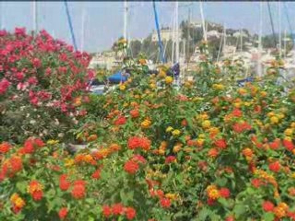 Lavandou