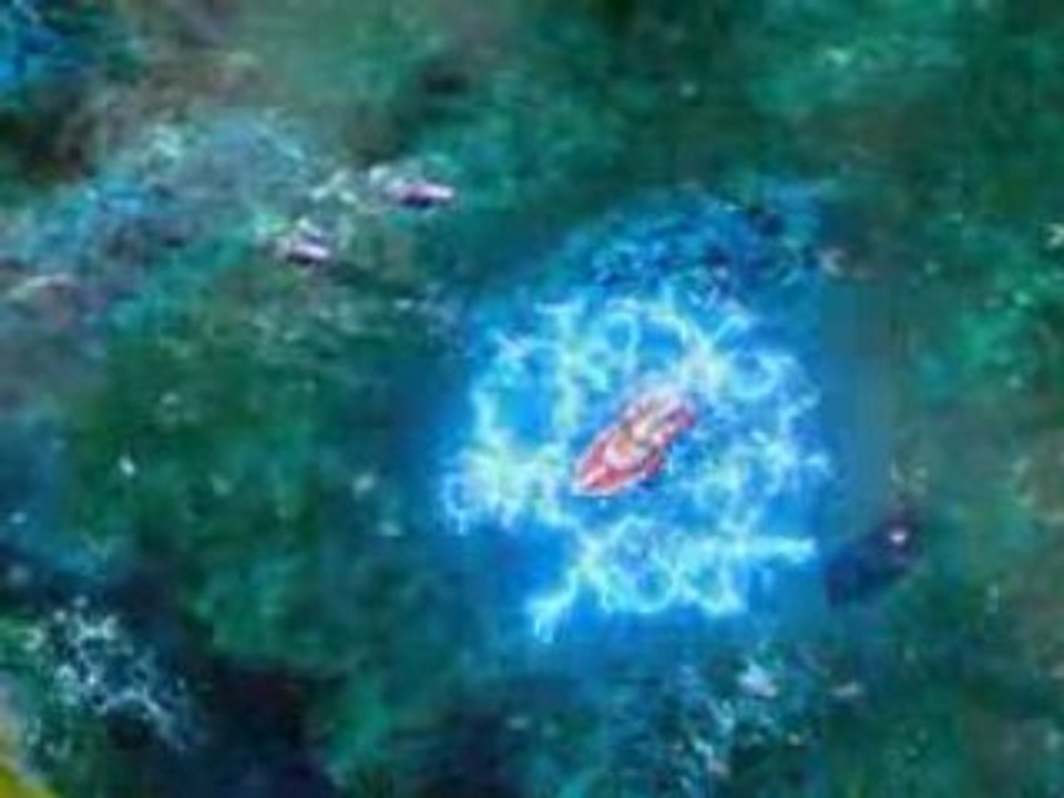 RA3Dolphin
