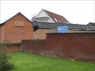 Urban Athletics Veracruz 🏙️