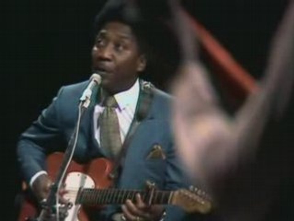Muddy Waters - honey bee