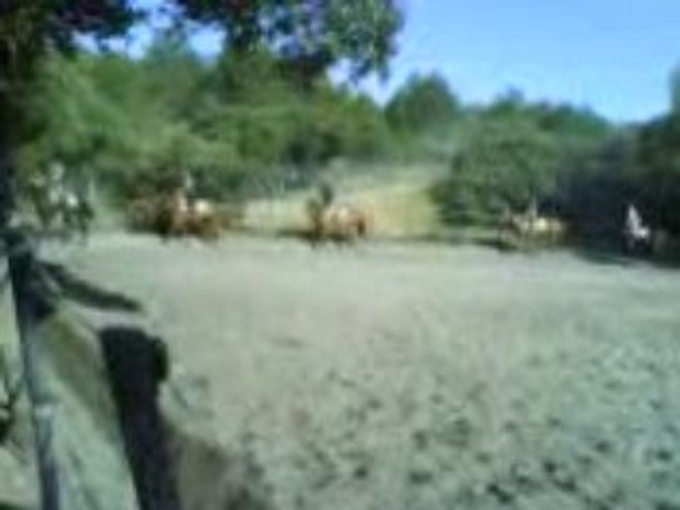 Selection afasec 2008 (1)