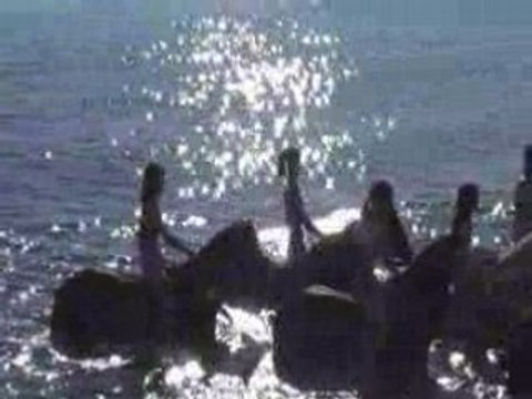 MB - Cheval Andalou Baignade