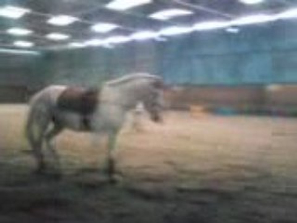 MOV00463
