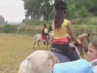 le carousel o p'tits poneys de srt