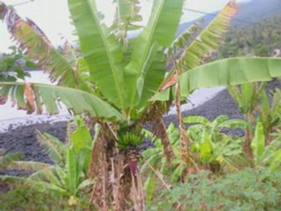 comores le karthala s'éveil sambi fait le mac