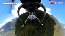 空投「粉圓種子球」造林！ 無人機搶救馬太鞍溪崩塌地
