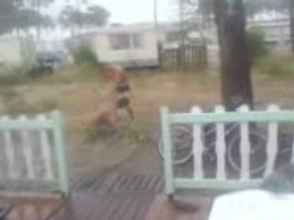 MOV00005