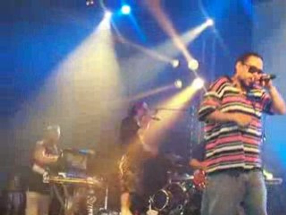 Svinkels - Live @ Dour 08 (6)