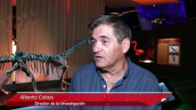 Restos fósiles de un Diplodocus en Teruel. Entrevista a los investigadores