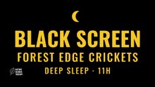 Cricket Sounds for Sleep · Forest Meadow Summer Night