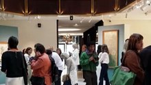 «Ίρις», «Κλαίουσα ιτιά»: Ανέκθετοι πίνακες του Μονέ βγαίνουν σε δημοπρασία στο Παρίσι