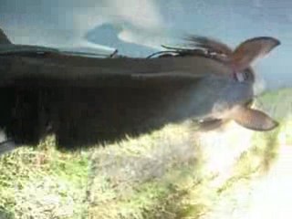 Cadeau pour vous faire plaisir mdr