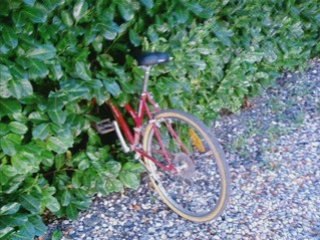 Ame sensibles,s'abstenir!