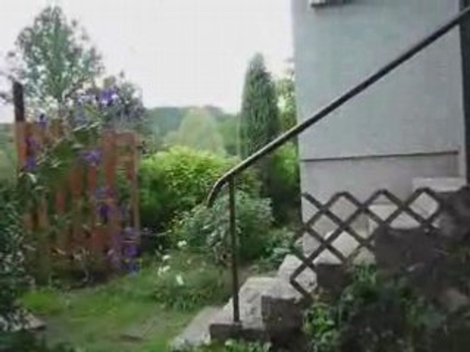 Wójek Hszestny