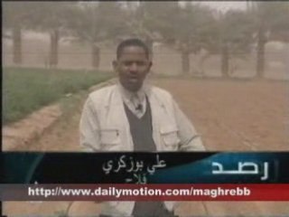 Rasd oasis tafilalt (2) Goulmima, tinjdad, Erfoud .. Chypre