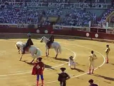 Paseo corrida Bayonne 2008