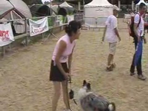 Pays de Loire, c'est la gloire !