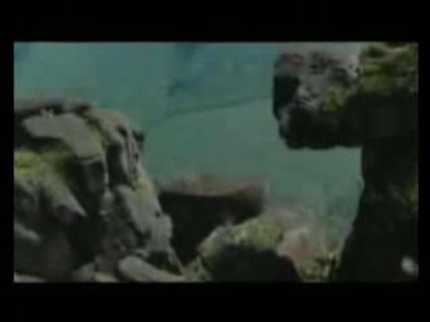 Ayat Al Kursi - Le Verset Du Trône (2-255)