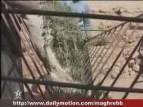 Rasd oasis tafilalt (3) Goulmima Tinjdad Erfoud .. Ksar