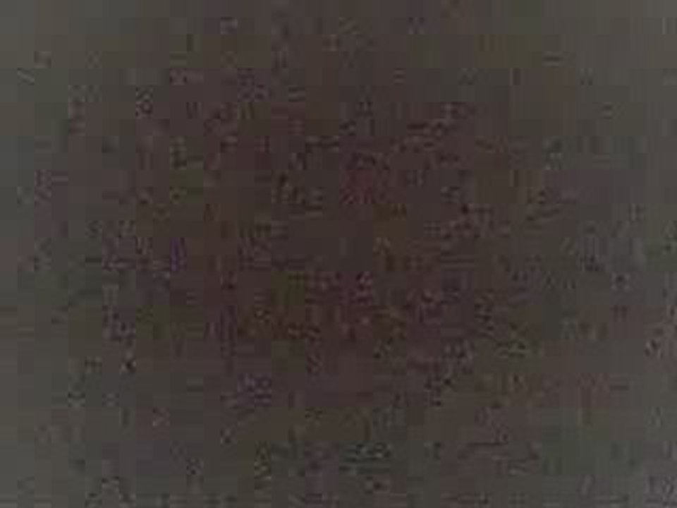 Cinema Bizarre -  Forever or Never (par Cyrielle)