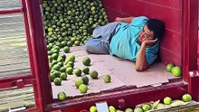 Others Lazy Workers Vs This Guy ☠️