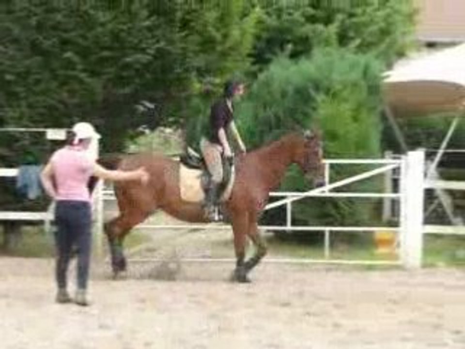 Trot 2