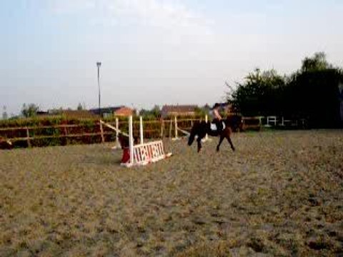 Van Nan CSO Mai 2006 oxer de cubes