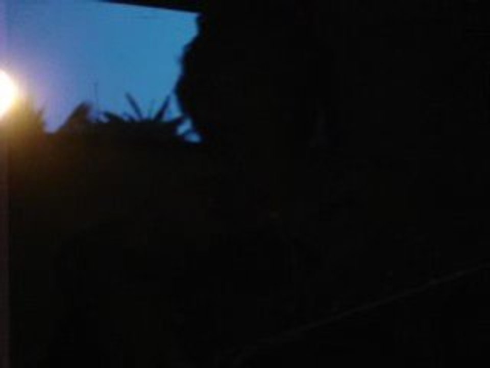 Tim's song - squatt near chaweng - thaïland 2006