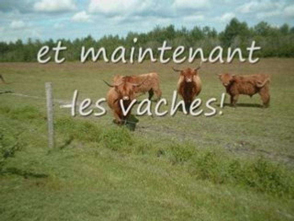 Ferme aout 2008