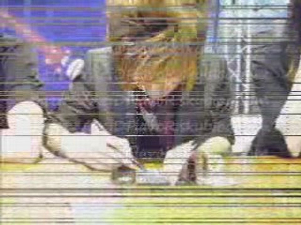 AciD FlaVoR in Japan Expo (montage)