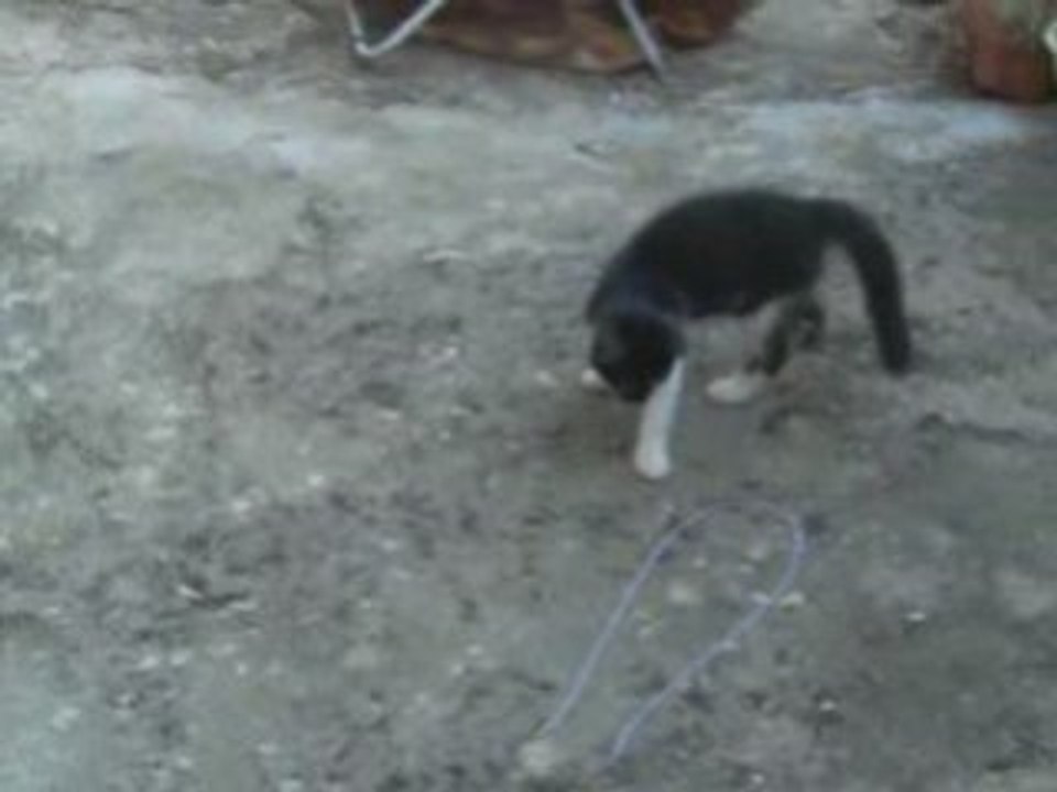 Trouyou en train de jouer