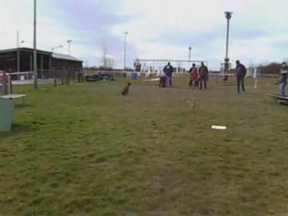 Test de comportement social